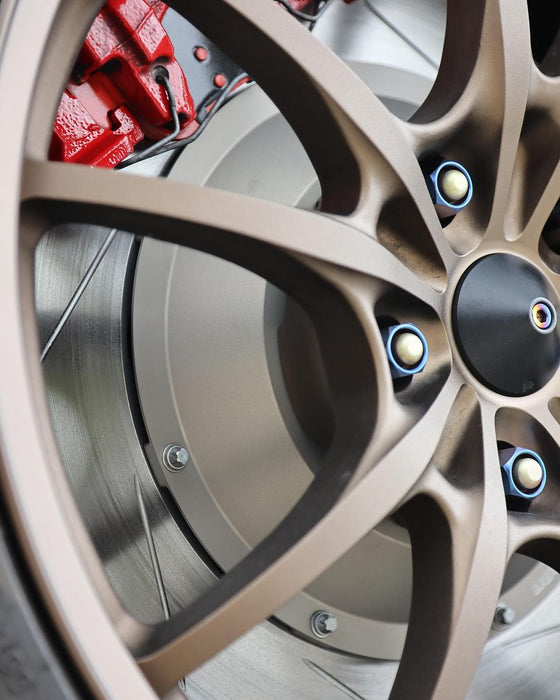 Paragon 2-Piece Rotors – Rear – Honda Civic Type R FK8 / FL5 - Larger Rotor